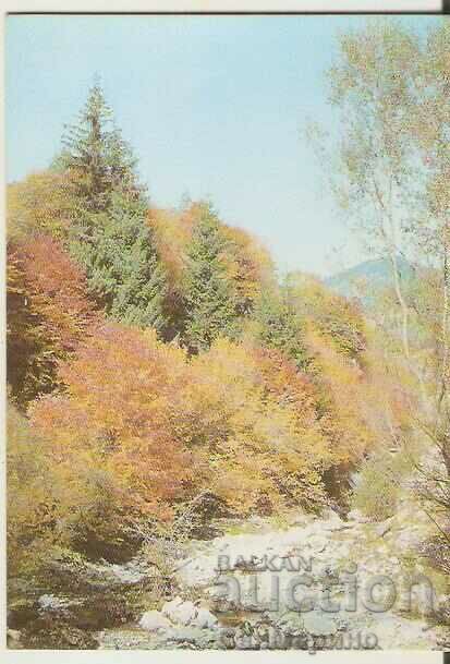 Κάρτα Βουλγαρία Pirin Φθινοπωρινό τοπίο *