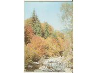 Card Bulgaria Pirin Autumn landscape *