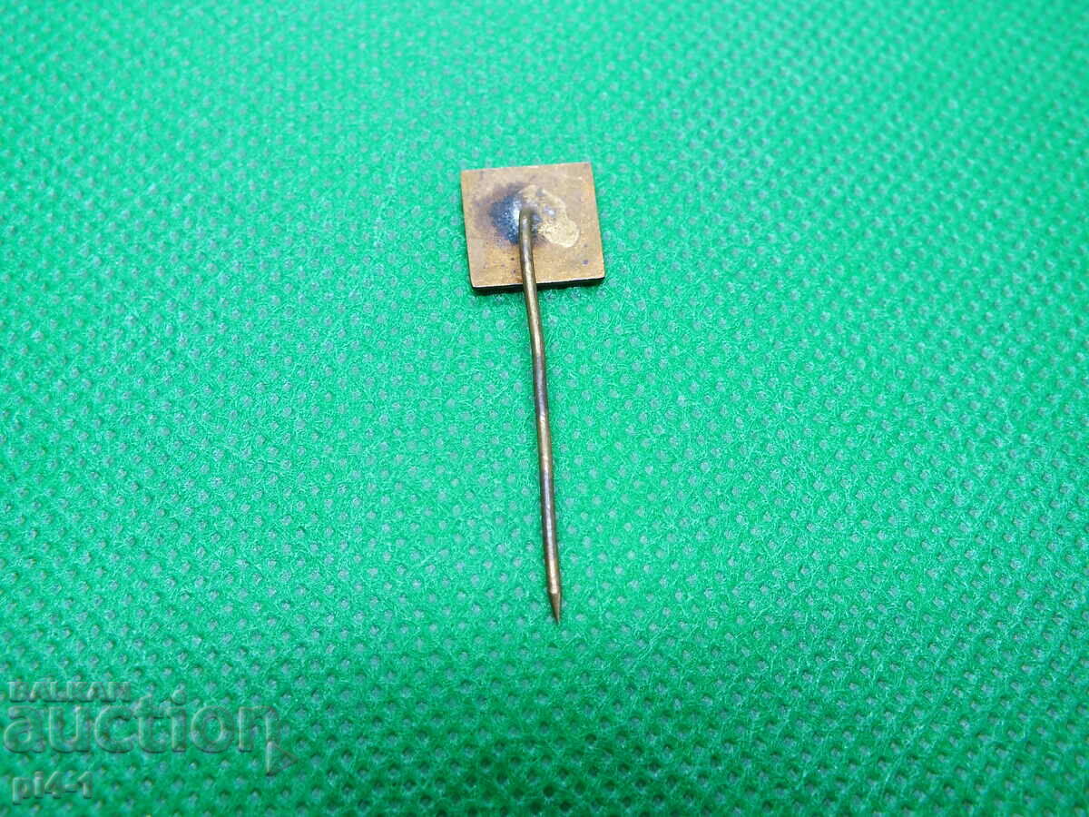 Badge FD Levski Sofia - Email with price 30.00 BGN | € 15.34 Badge FD Levski Sofia - Email with price 30.00 BGN | € 15.34