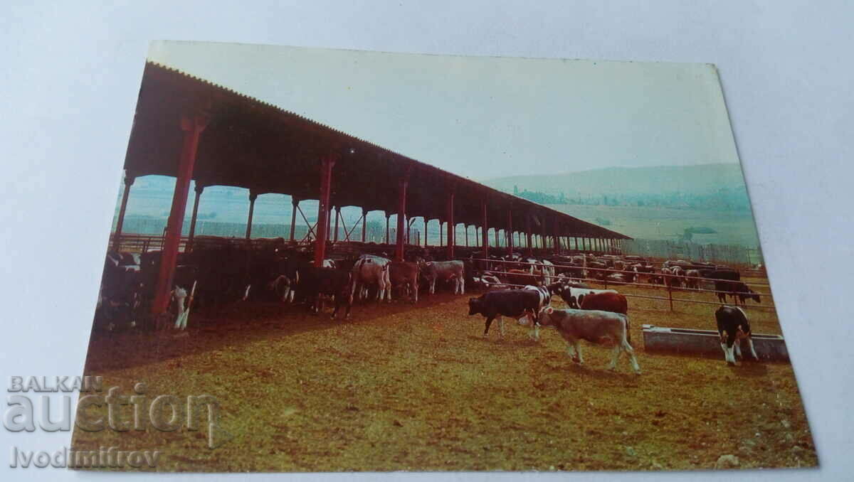Carte poștală Svilengrad Magazinul ciobanului din satul Mezek