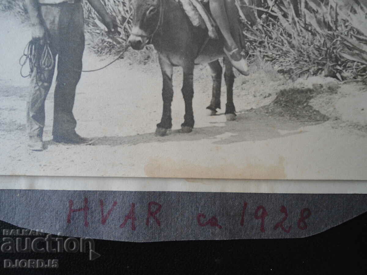 Auction Old photo, 1928 Auction Old photo, 1928