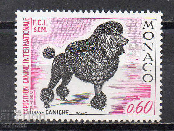 1975. Monaco. Spectacolul internațional de câini, Monte Carlo.
