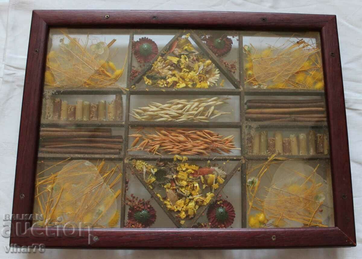 Delivery of tray, tray Delivery of tray, tray