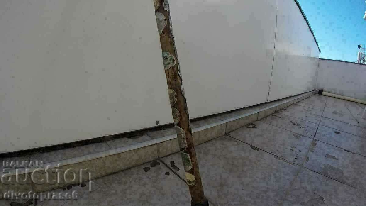 A wooden cane with price 139.00 BGN | € 71.07 A wooden cane with price 139.00 BGN | € 71.07