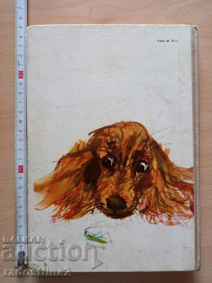 Povești de Jan Grabowski cu preț € 0.40 | 0.78 BGN