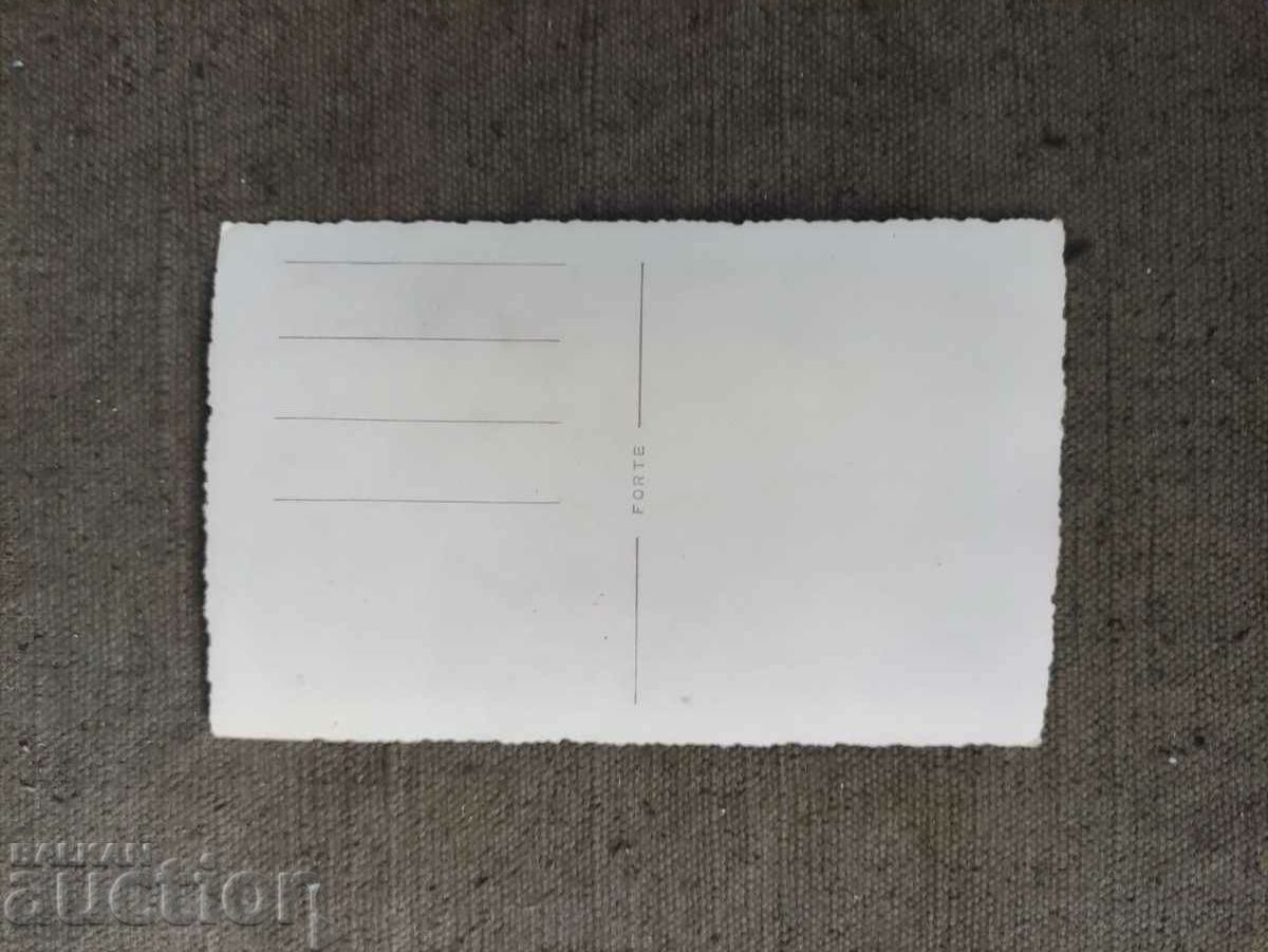 Wedding photo with price 10.00 BGN | € 5.11 Wedding photo with price 10.00 BGN | € 5.11