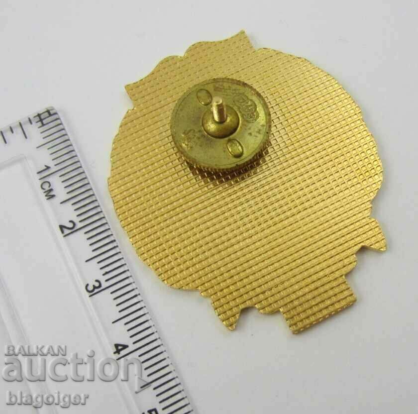 Breastplate-80 years Construction Troops-Screw-Military Badge with price 13.99 BGN | € 7.15 Breastplate-80 years Construction Troops-Screw-Military Badge with price 13.99 BGN | € 7.15
