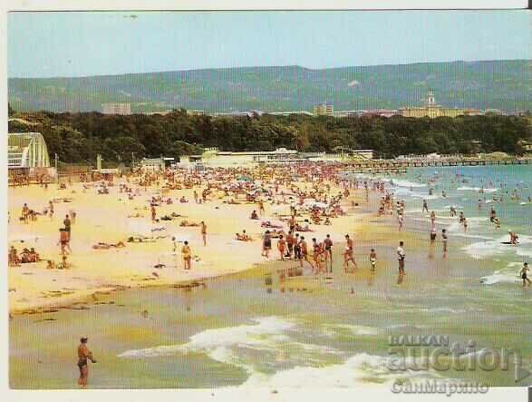 Картичка  България  Варна Южният плаж*