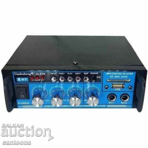 Karaoke home audio amplifier GLS-05, FM, SD, USB, 30W