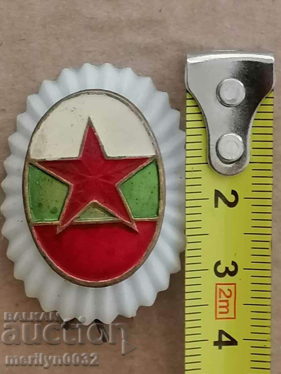 Δημοπρασία Εμαγιέ σοσιαλιστική κονκάρδα σημάδι σμάλτο σήμα