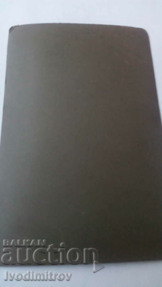 Photo Young woman in a white cardboard dress with price 8.65 BGN | € 4.42 Photo Young woman in a white cardboard dress with price 8.65 BGN | € 4.42