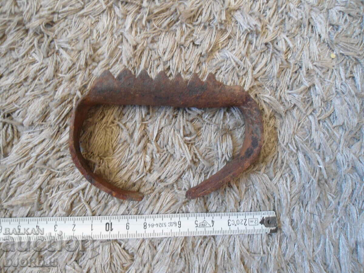 Delivery of An old grain nurse Delivery of An old grain nurse