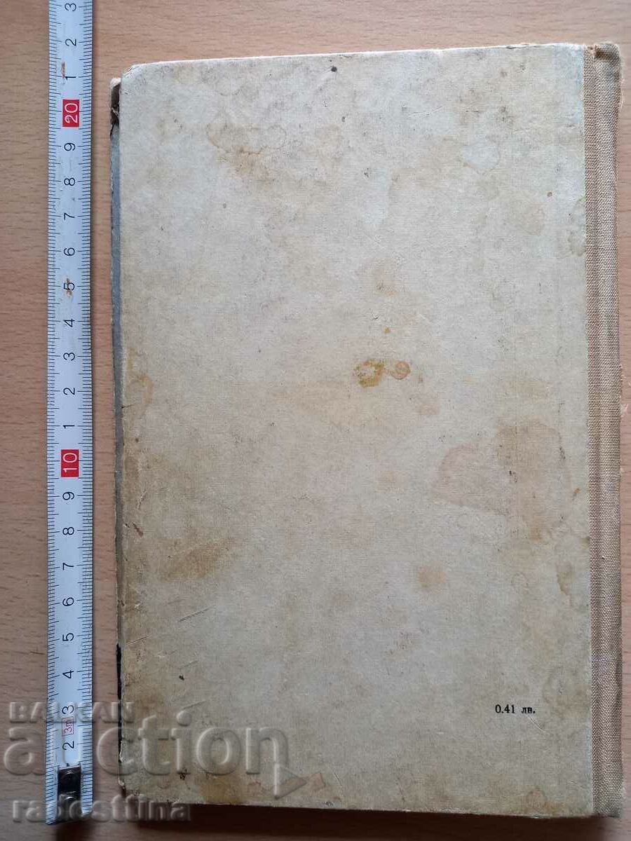 Snow silence Kiril Bozhilov with price 10.00 BGN | € 5.11