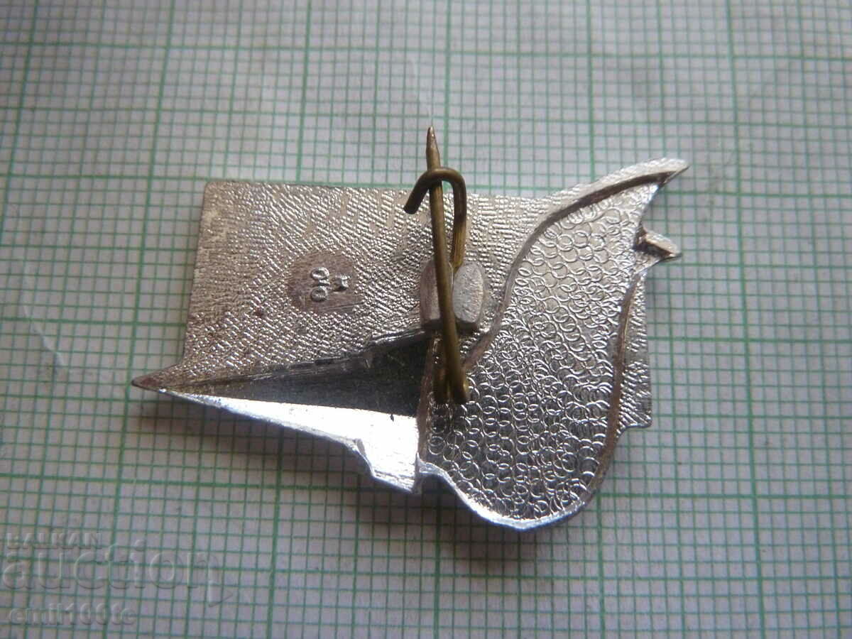 Badge - RKSM - 5 Badge - RKSM - 5