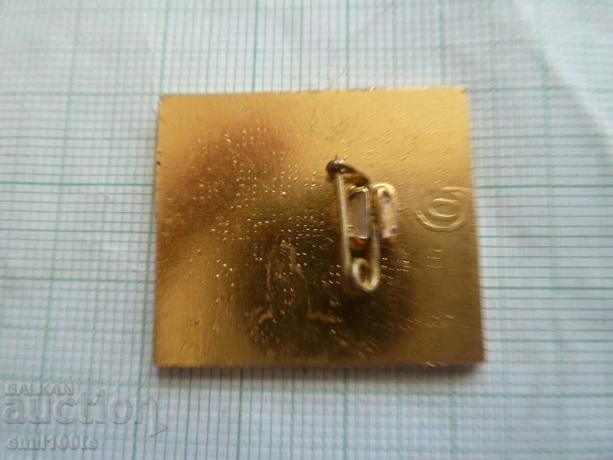 Delivery of Badge - Football National Team for Leningrad National Team