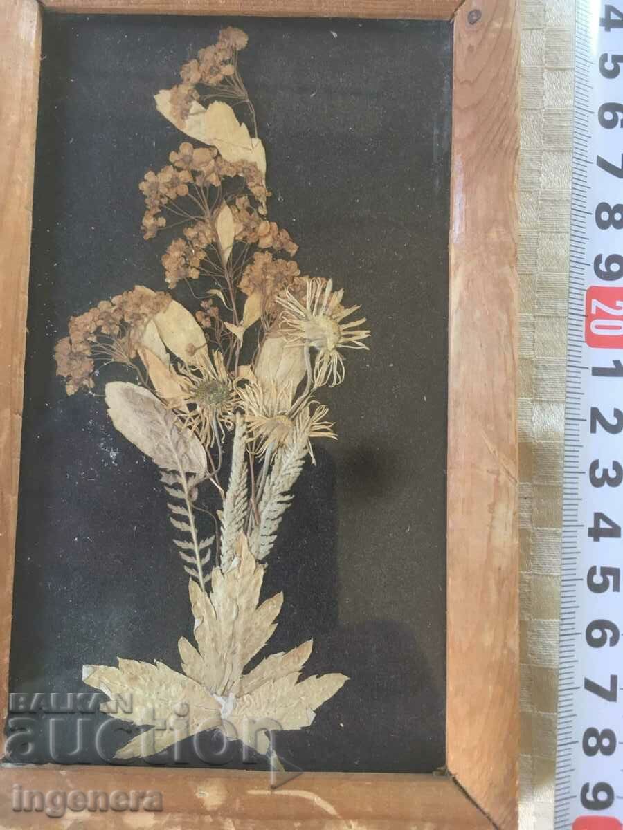 PICTURE HERBARIUM FRAME WOOD GLASS with price 8.00 BGN | € 4.09 PICTURE HERBARIUM FRAME WOOD GLASS with price 8.00 BGN | € 4.09