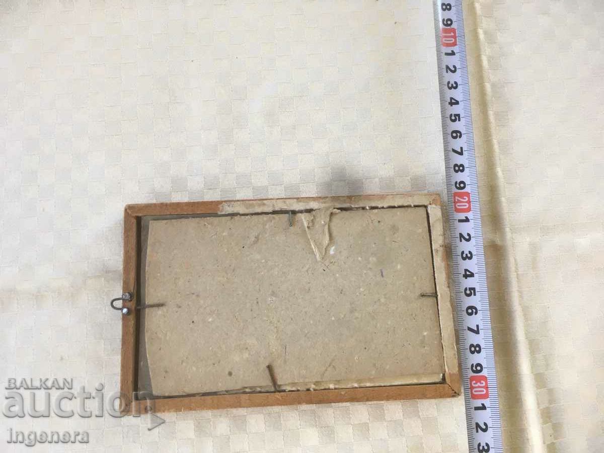 Auction PICTURE HERBARIUM FRAME WOOD GLASS Auction PICTURE HERBARIUM FRAME WOOD GLASS