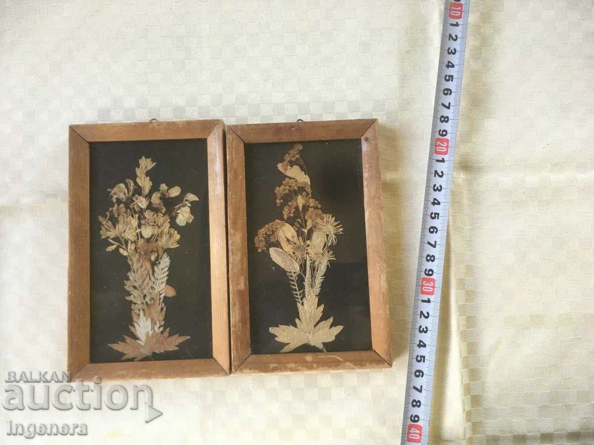 PICTURE HERBARIUM FRAME WOOD GLASS - 5 PICTURE HERBARIUM FRAME WOOD GLASS - 5