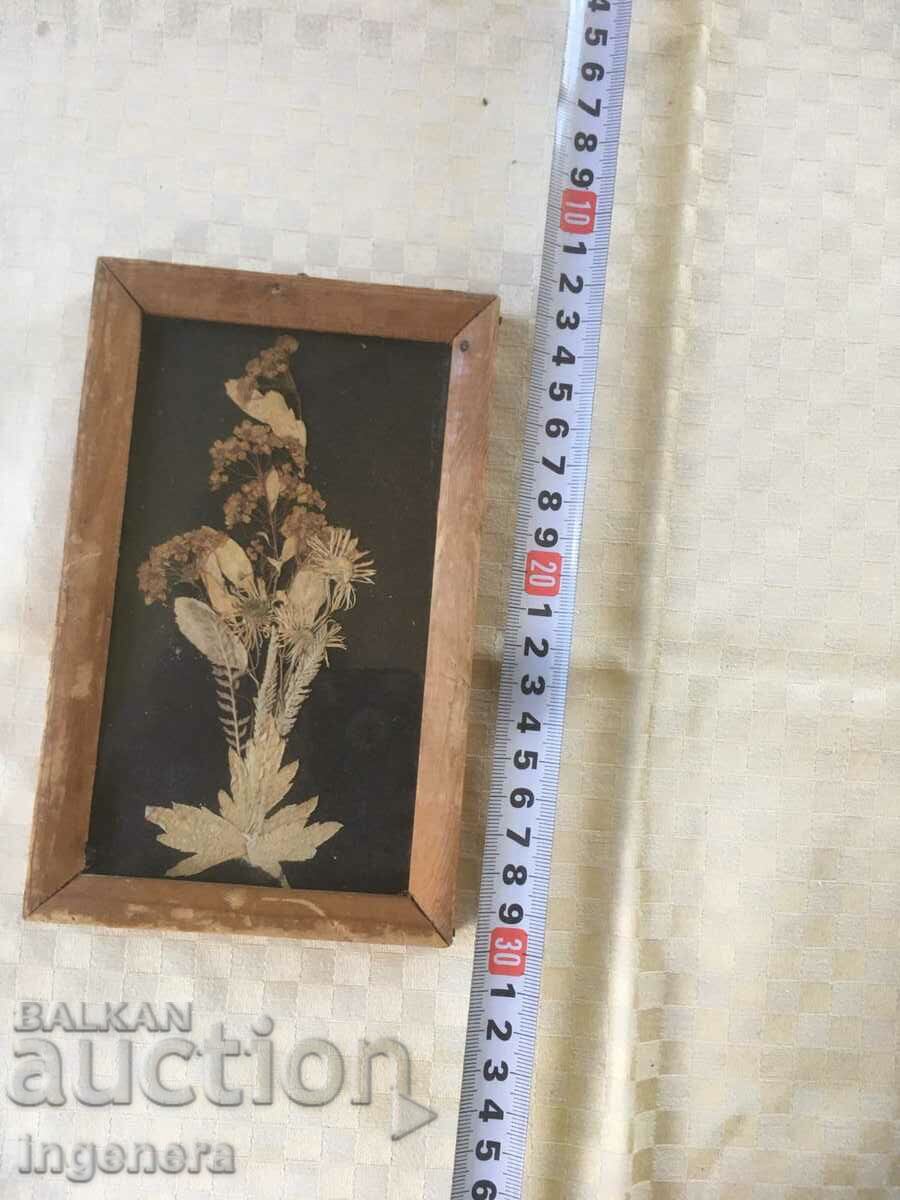 PICTURE HERBARIUM FRAME WOOD GLASS