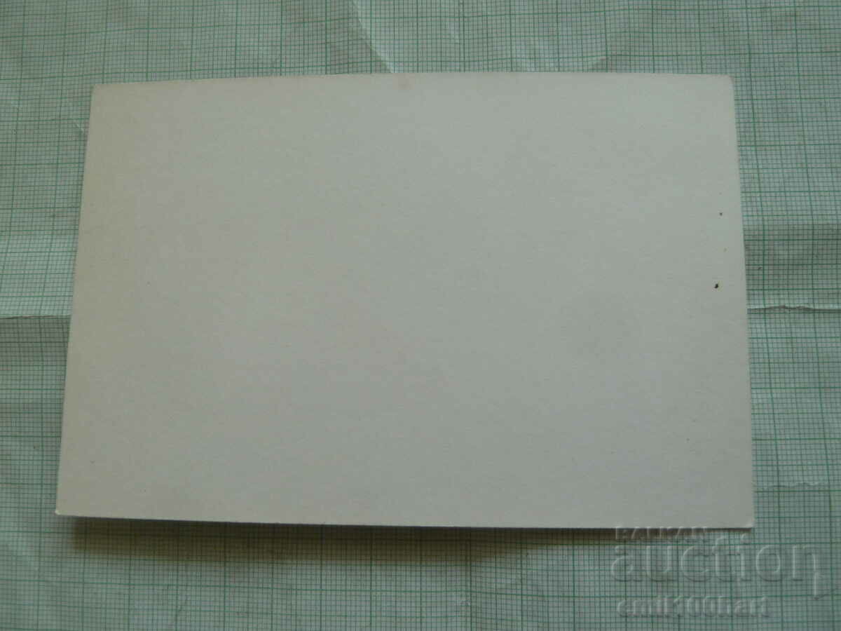 Delivery of Card - Domino vocal group