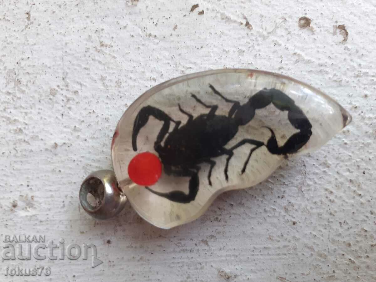 Auction  Scorpion locket