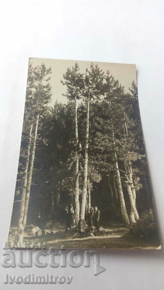Снимка Баня-Чепино Петима мъже и момиче в гората 1932