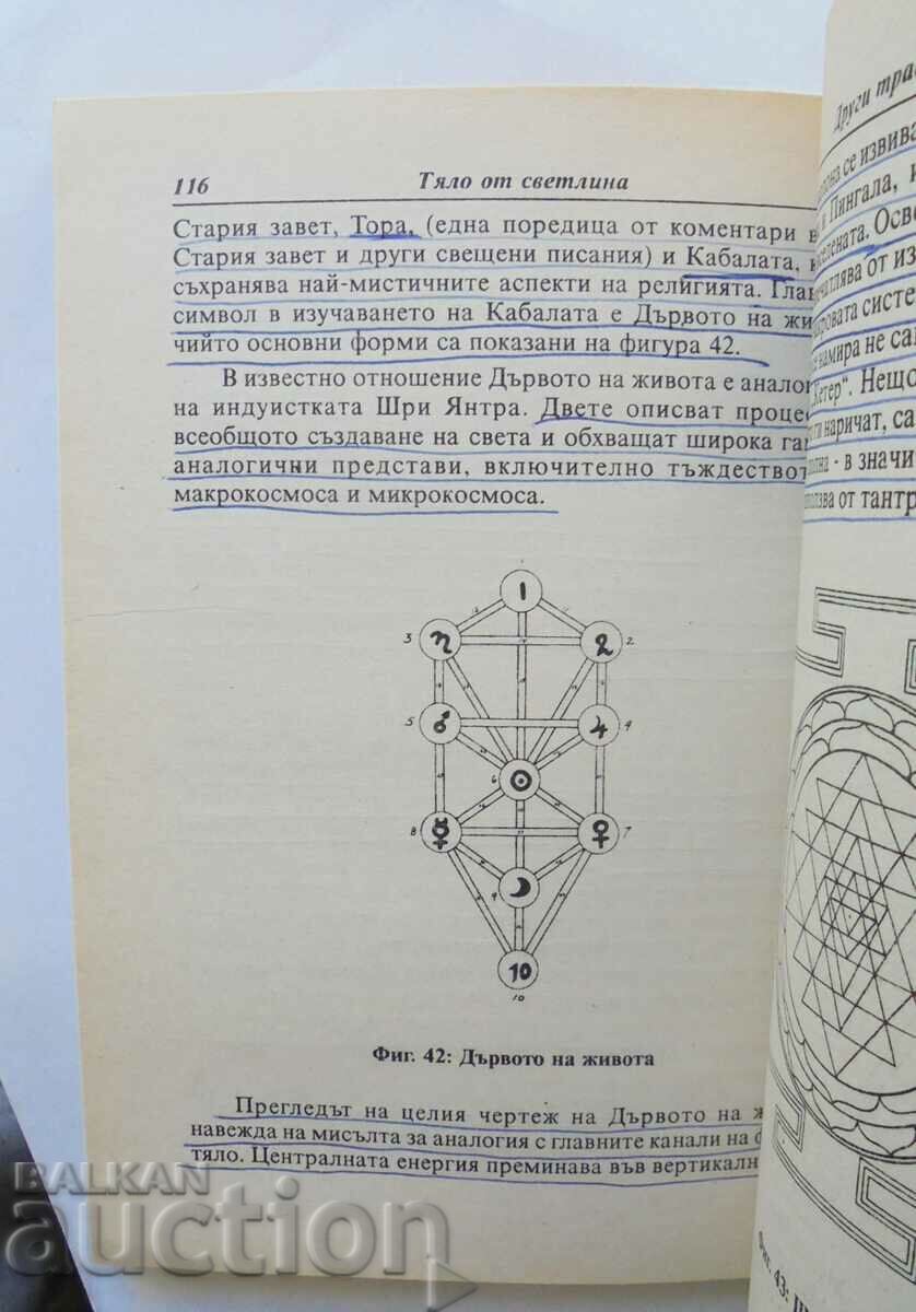 Body of Light - John Mann, Lar Short 1998 with price 5.00 BGN | € 2.56 Body of Light - John Mann, Lar Short 1998 with price 5.00 BGN | € 2.56