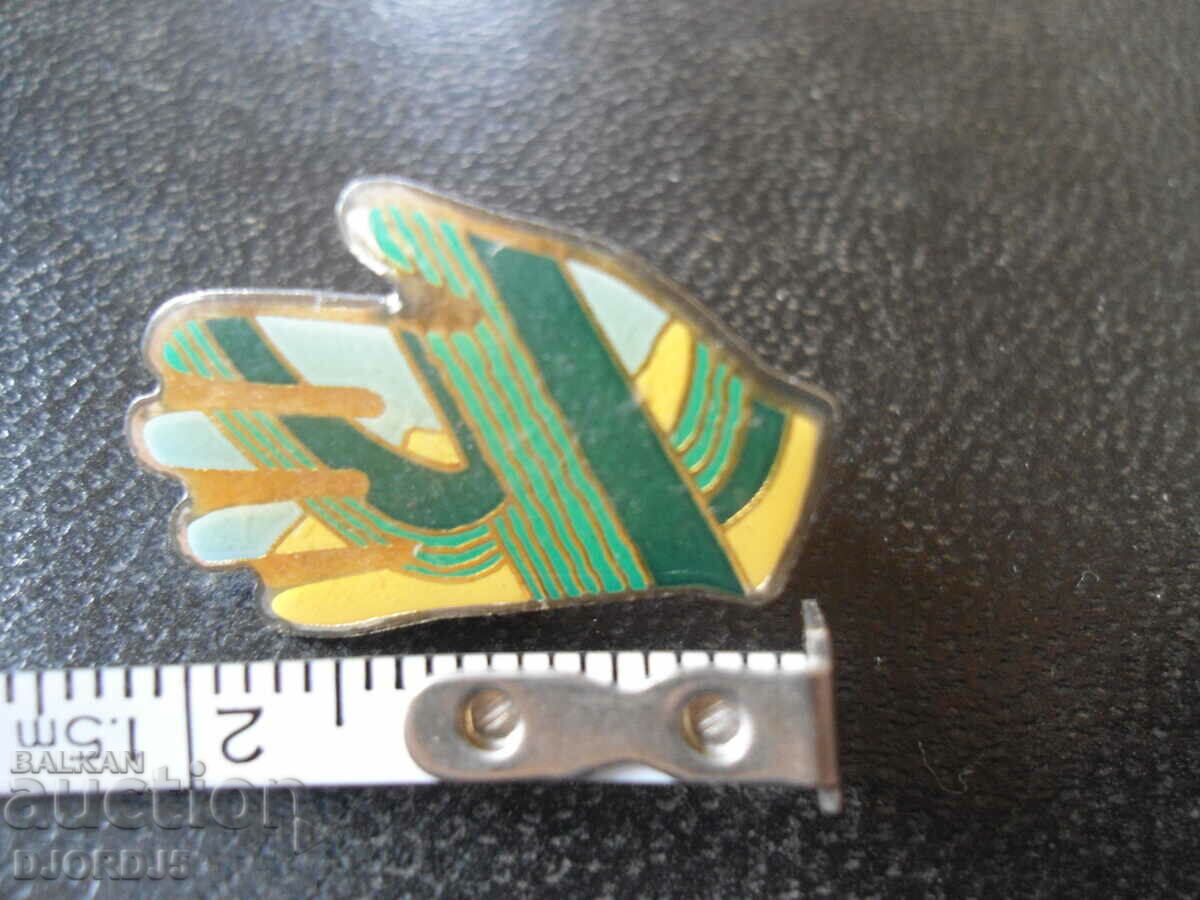 Livrarea insignă vechi Livrarea insignă vechi