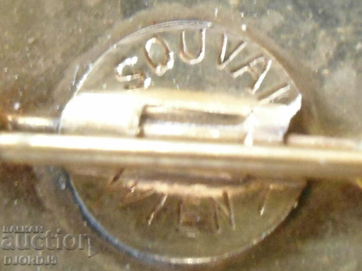 Livrarea insignă vechi Livrarea insignă vechi