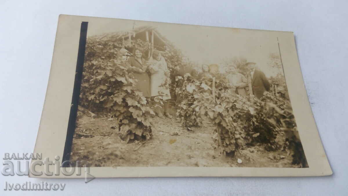 Photo Men and women in the vineyard