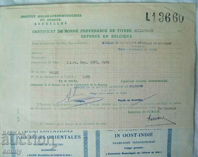 Netherlands / Netherlands action for companies in the East Indies, 1924 - 5 Netherlands / Netherlands action for companies in the East Indies, 1924 - 5