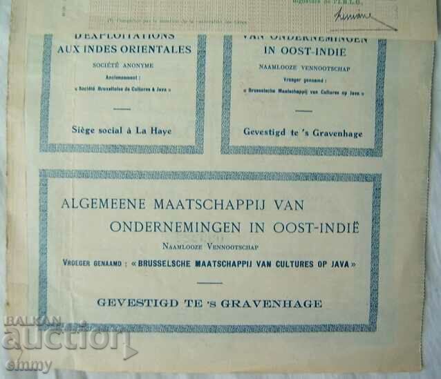 Netherlands / Netherlands action for companies in the East Indies, 1924 - 7 Netherlands / Netherlands action for companies in the East Indies, 1924 - 7
