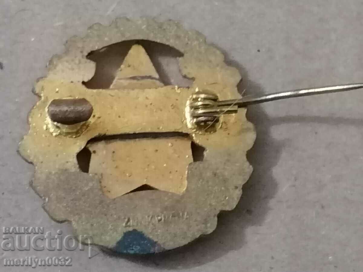 Auction  Enamel badge Czechoslovakia medal badge