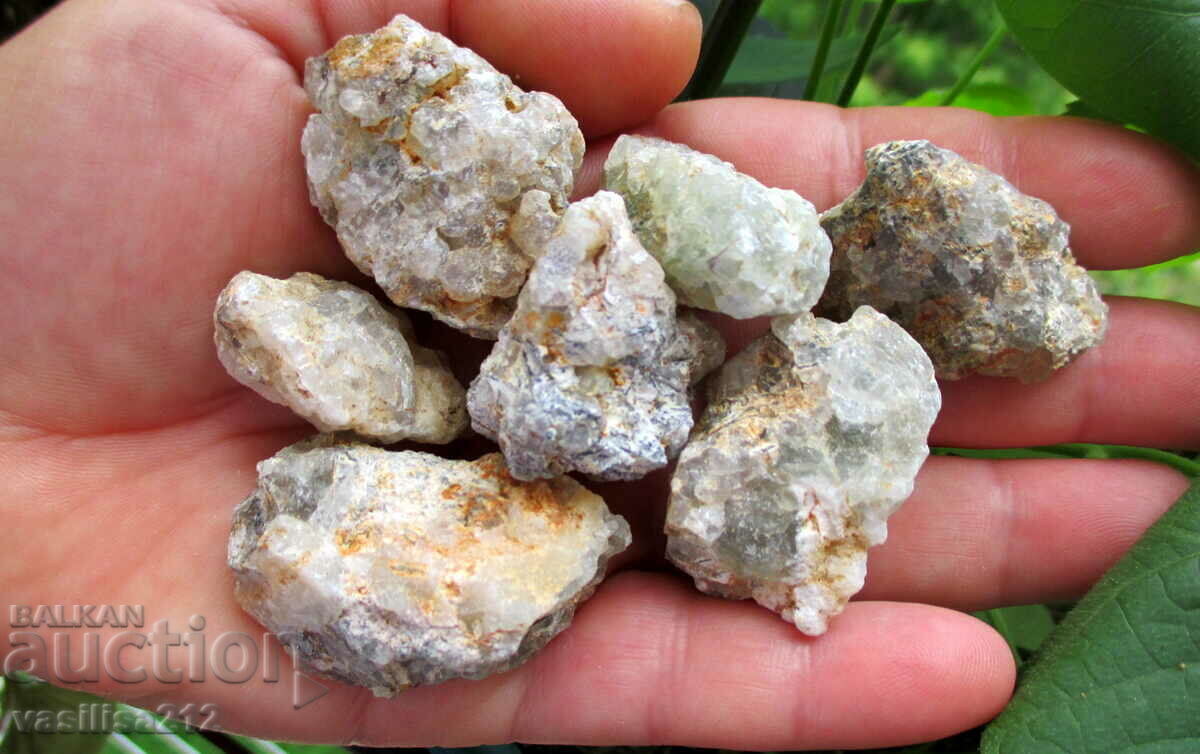 Φθορίτες, Βουλγαρικά με τιμή 8.00 BGN | € 4.09 Φθορίτες, Βουλγαρικά με τιμή 8.00 BGN | € 4.09