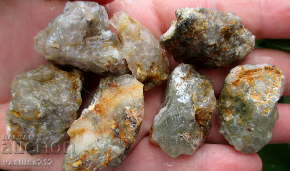 Δημοπρασία Φθορίτες, Βουλγαρικά Δημοπρασία Φθορίτες, Βουλγαρικά