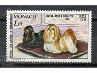 1980. Monaco. Spectacolul internațional de câini, Monte Carlo.