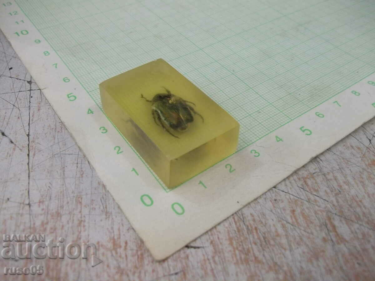 Delivery of Beetle built into a transparent tile Delivery of Beetle built into a transparent tile