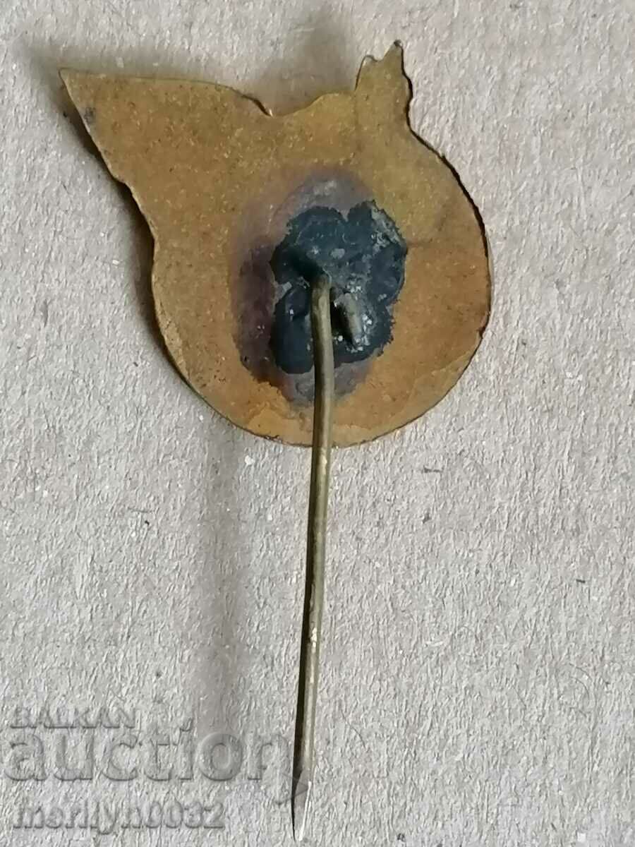 Delivery of Bulgarian Breastplate For peace on the planet medal badge Delivery of Bulgarian Breastplate For peace on the planet medal badge