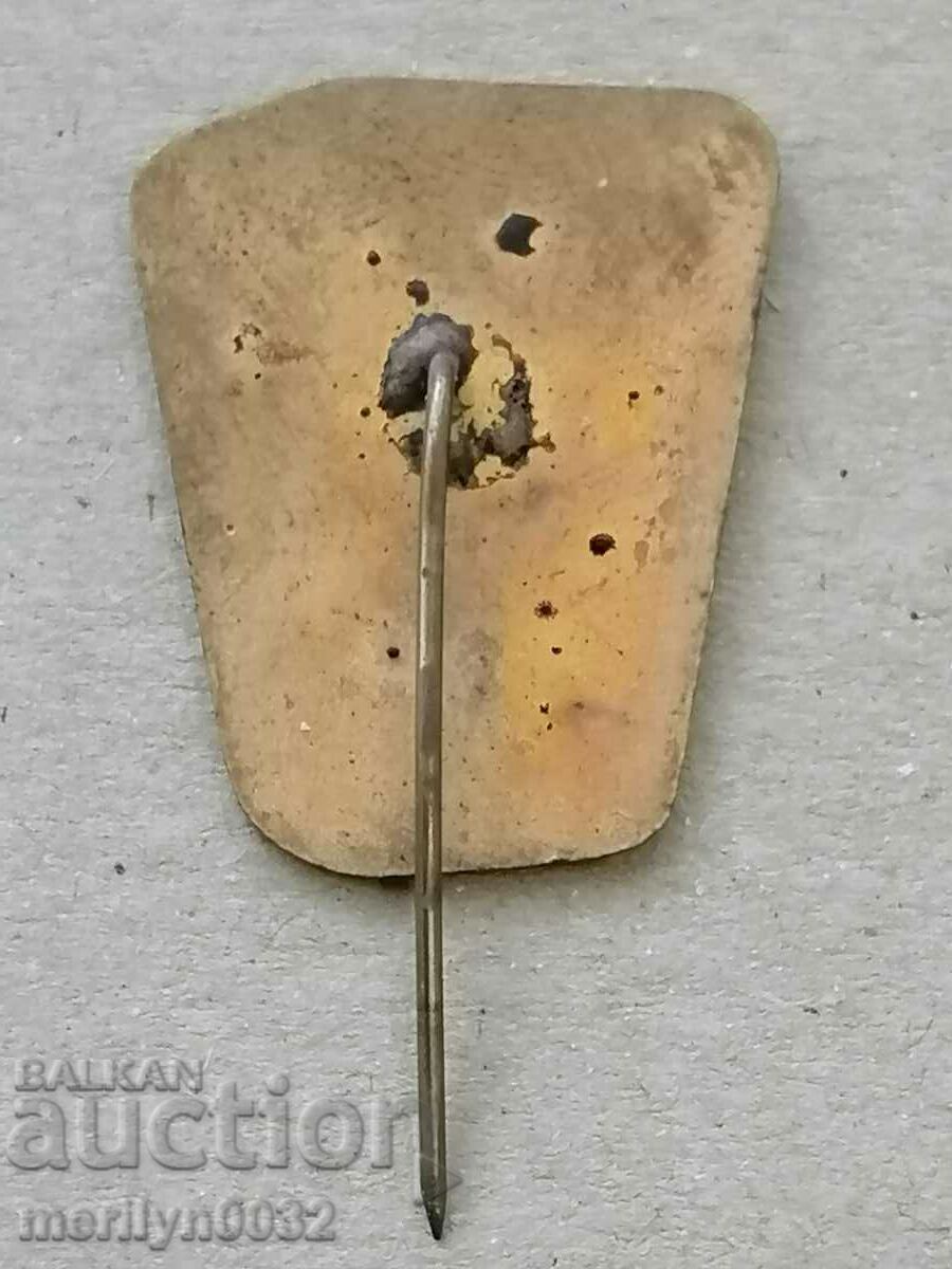 Delivery of Breastplate 10 g Komsomol patronage Maritsa medal badge Delivery of Breastplate 10 g Komsomol patronage Maritsa medal badge