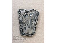 Breastplate 10 g Komsomol patronage Maritsa medal badge