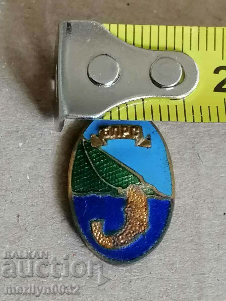 Δημοπρασία Σήμα μετάλλου BLRS με θώρακα