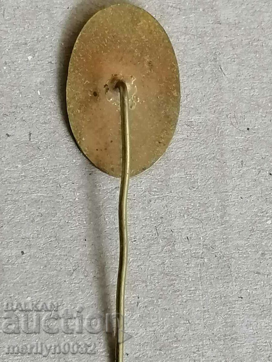 Παράδοση Σήμα μετάλλου BLRS με θώρακα