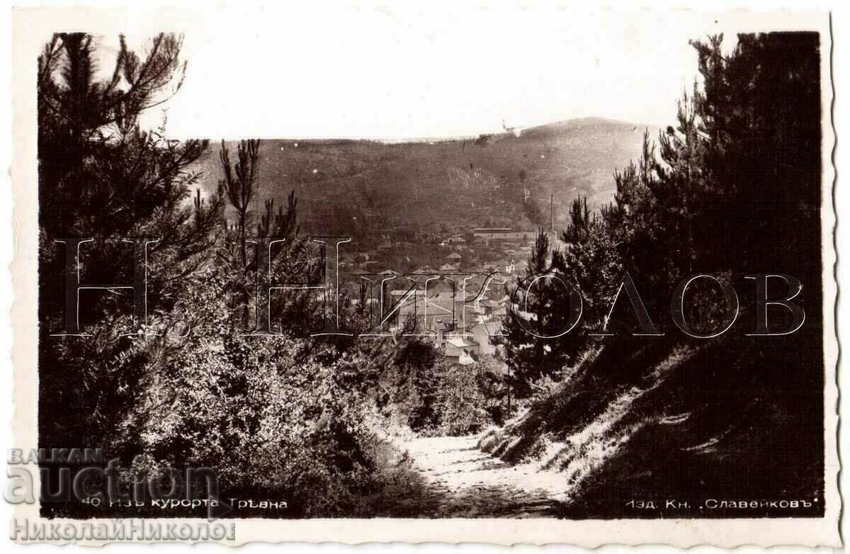 OLD GRASS CARD OVERVIEW B540 OLD GRASS CARD OVERVIEW B540