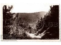 PREZENTARE GENERALĂ A CARDULUI VECHII GRASS B540