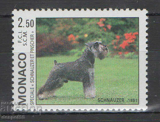1991. Μονακό. Διεθνής Έκθεση Σκύλων, Μόντε Κάρλο.