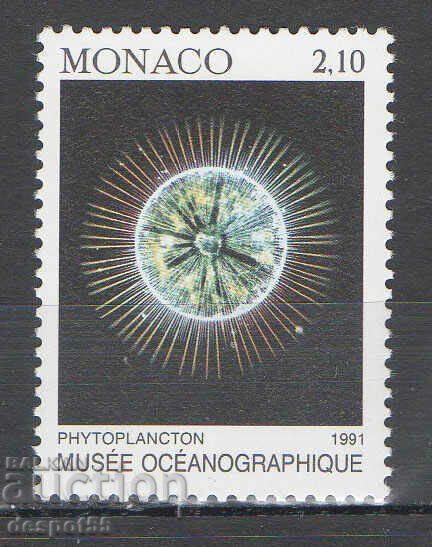 1991. Монако. Океанографски музей.