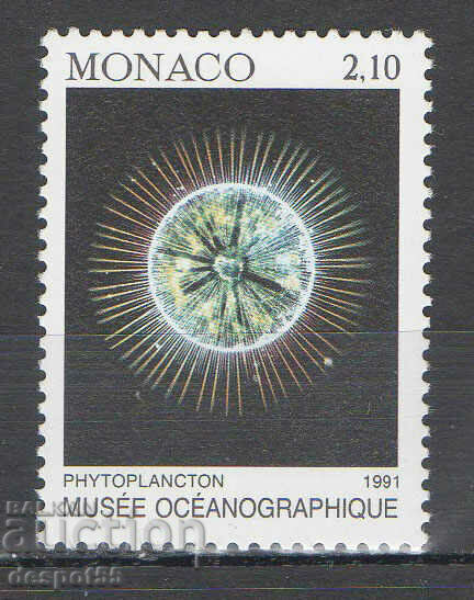 1991. Monaco. Oceanographic Museum.