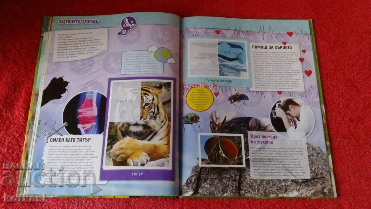 Delivery of An old book invented by nature Encyclopedia Delivery of An old book invented by nature Encyclopedia