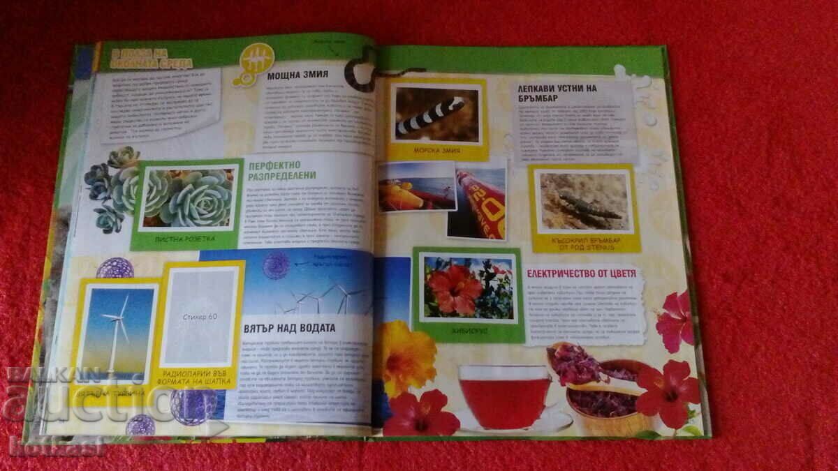 Delivery of Old book Invented by nature Encyclopedia Delivery of Old book Invented by nature Encyclopedia