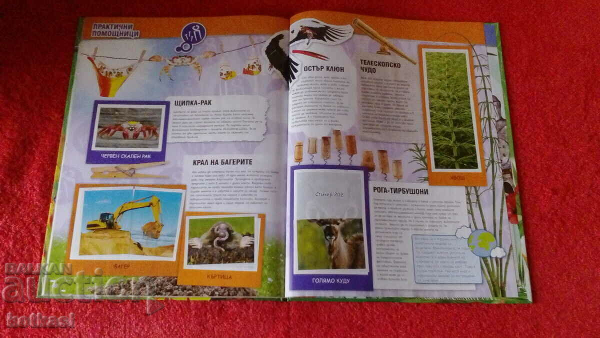 Old book Invented by nature Encyclopedia - 5 Old book Invented by nature Encyclopedia - 5